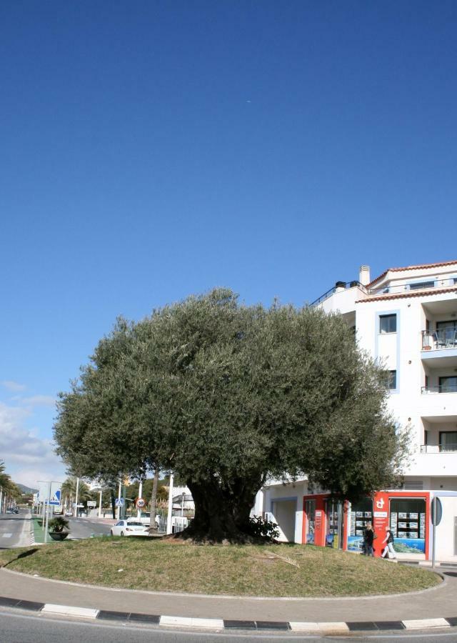 Appartement Monica Moraira Eksteriør billede